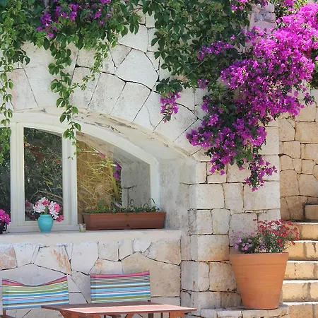 Korsanada Kaş